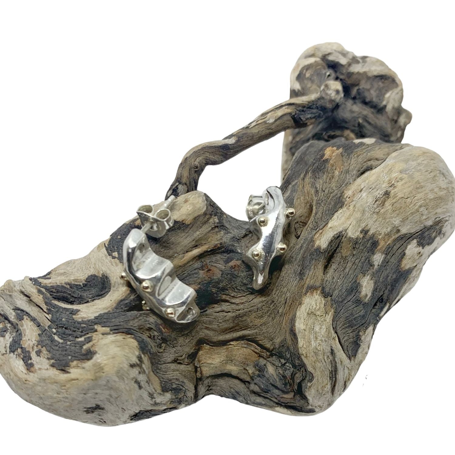 Sea Slug Stud Earrings – Sterling Silver & 18ct Yellow Gold - Tg-Jewellery By Tamara Gervasio