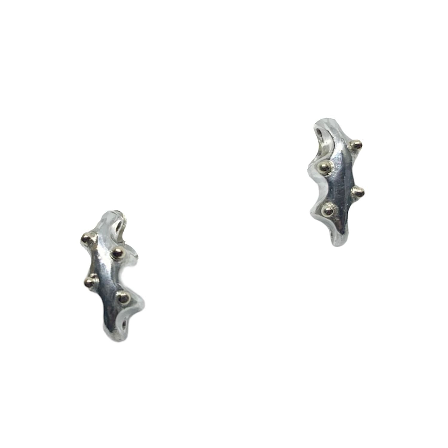 Sea Slug Stud Earrings – Front View | Sterling Silver 925 & 18ct Yellow Gold - Tg-Jewellery By Tamara Gervasio